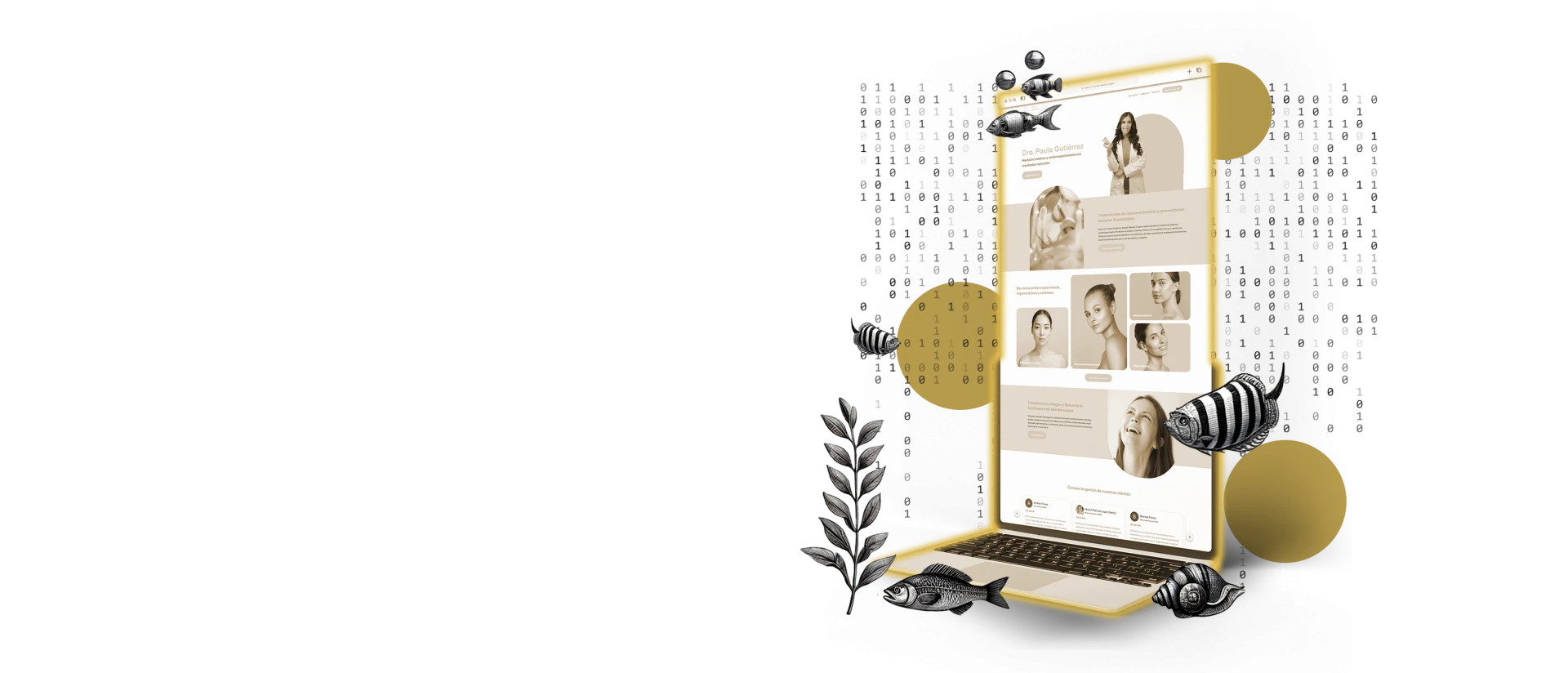 Desarrollo web